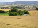 Bild grösser